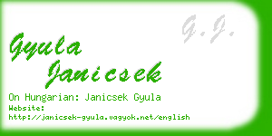 gyula janicsek business card